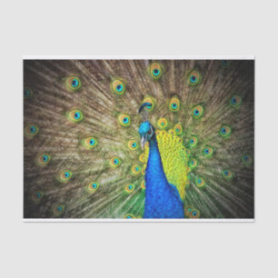 Pfau Seidenpapier