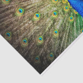 Pfau Seidenpapier (Ausschnitt)