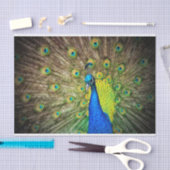 Pfau Seidenpapier (Handwerk)