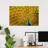 Pfau, Silberfälle, Kauai, Hawaii Poster (Heimbüro)