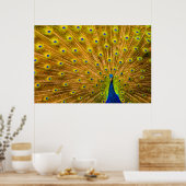 Pfau, Silberfälle, Kauai, Hawaii Poster (Küche)