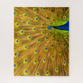 Pfau, Silberfälle, Kauai, Hawaii Puzzle (Vertikal)