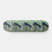 PFAU SKATEBOARD (Horizontal)
