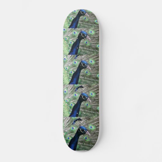 PFAU SKATEBOARD (Vorderseite)
