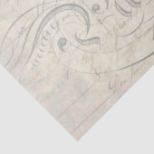 Pfau-Skripteditor Seidenpapier (Ausschnitt)