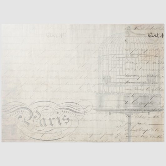 Pfau-Skripteditor Seidenpapier (Vorderseite)