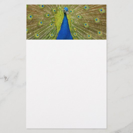 Pfau stationär briefpapier (Vorderseite)