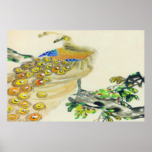 Pfau-Stehendes Poster Zeichne 1