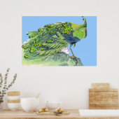 Pfau Stehendes Poster Zeichne 2 (Küche)