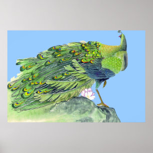 Pfau Stehendes Poster Zeichne 2