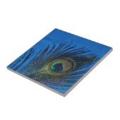 Pfau-Stillleben mit blauer Fliese (Seite)