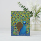 Pfau, Strut deine Federn Postkarte (Stehend Vorderseite)