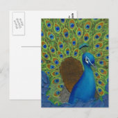 Pfau, Strut deine Federn Postkarte (Vorne/Hinten)