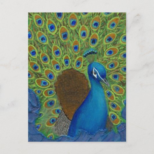 Pfau, Strut deine Federn Postkarte (Vorderseite)