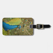 Pfau strutting gepäckanhänger (Vorderseite horizontal)