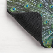 Pfau Strutting Mousepad (Ecke)