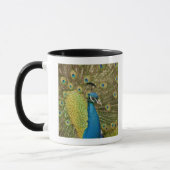 Pfau strutting tasse (Links)