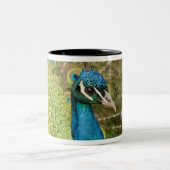 Pfau strutting zweifarbige tasse (Mittel)