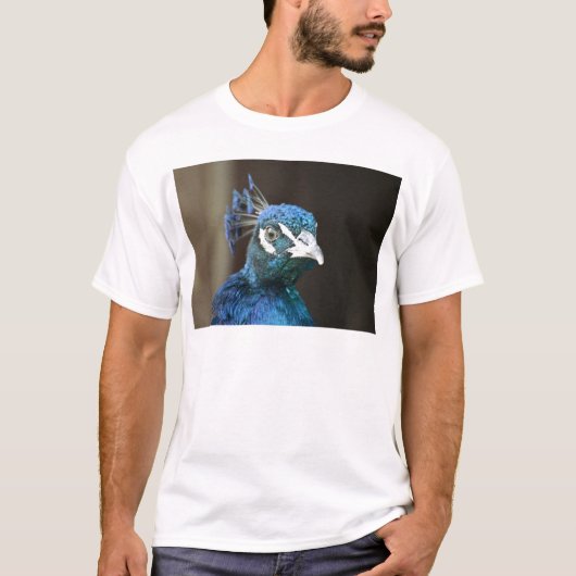 Pfau T-Shirt (Vorderseite)