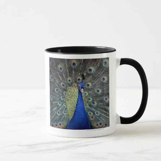 Pfau Tasse (Rechts)