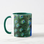 Pfau, Tasse (Links)