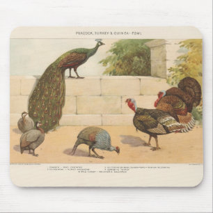 Pfau, Truthahn & Perlhuhn Mousepad