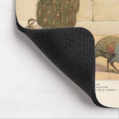 Pfau, Türkei & Guinea Fowl Mousepad (Ecke)