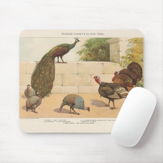 Pfau, Türkei & Guinea Fowl Mousepad (Mit Mouse)