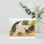 Pfau, Türkei & Guinea Fowl Postkarte (Stehend Vorderseite)
