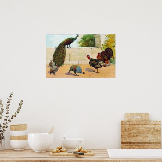 Pfau, Türkei, Guinea Poster (Küche)
