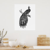 Pfau, Tuschezeichnung. Poster (Küche)