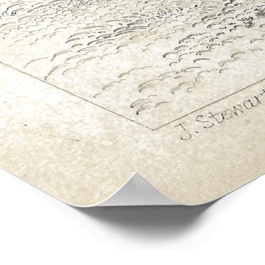 Pfau- und Fasanenantikschrift Poster (Ecke)