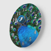 Pfau und Feder Große Wanduhr (Winkel)