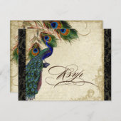 Pfau und Federn Formal UAWG Response Black Tan RSVP Karte (Vorne/Hinten)