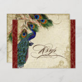 Pfau und Federn Formal UAWG Response Burgundy RSVP Karte (Vorne/Hinten)