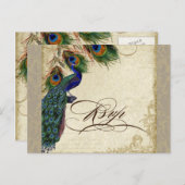 Pfau und Federn formale Reaktion auf Hochzeiten Einladungspostkarte (Vorne/Hinten)