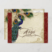 Pfau und Federn formale Reaktion auf Hochzeiten Einladungspostkarte (Vorne/Hinten)