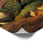 Pfau und Hühner Poster (Ecke)
