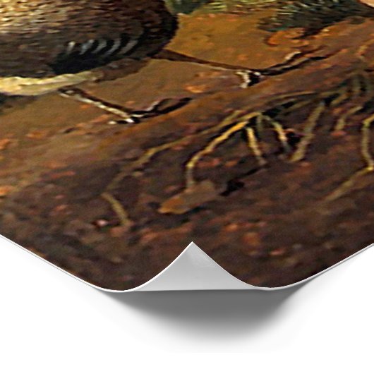 Pfau und Hühner Poster (Ecke)