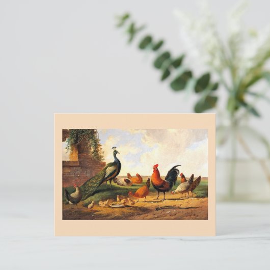 Pfau und Hühner Postkarte (Stehend Vorderseite)