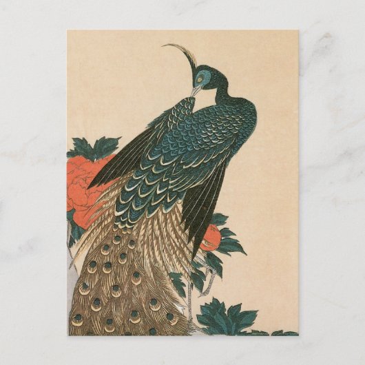 Pfau und Pfaue von Hiroshige, japanische Kunst Postkarte (Vorderseite)