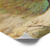 Pfau und Pfauenschmetterling, KunstIllustration Poster (Ecke)