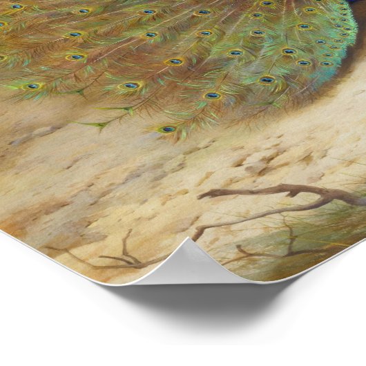 Pfau und Pfauenschmetterling, KunstIllustration Poster (Ecke)