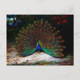 Pfau und Pfauenschmetterling Postkarte