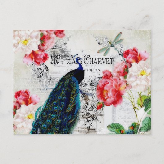 Pfau und Rose Postkarte (Vorderseite)