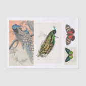 Pfau- und Schmetterlingsdekap Seidenpapier (Vorderseite)