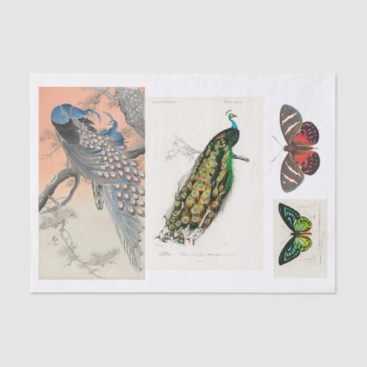 Pfau- und Schmetterlingsdekap Seidenpapier (Vorderseite)