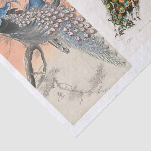 Pfau- und Schmetterlingsdekap Seidenpapier (Ausschnitt)