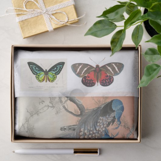 Pfau- und Schmetterlingsdekap Seidenpapier (Geschenk)