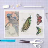 Pfau- und Schmetterlingsdekap Seidenpapier (Handwerk)